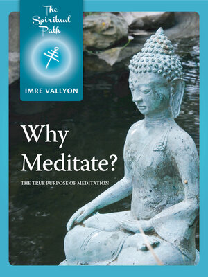 cover image of Why Meditate?: the True Purpose of Meditation